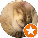Dania A. profile picture